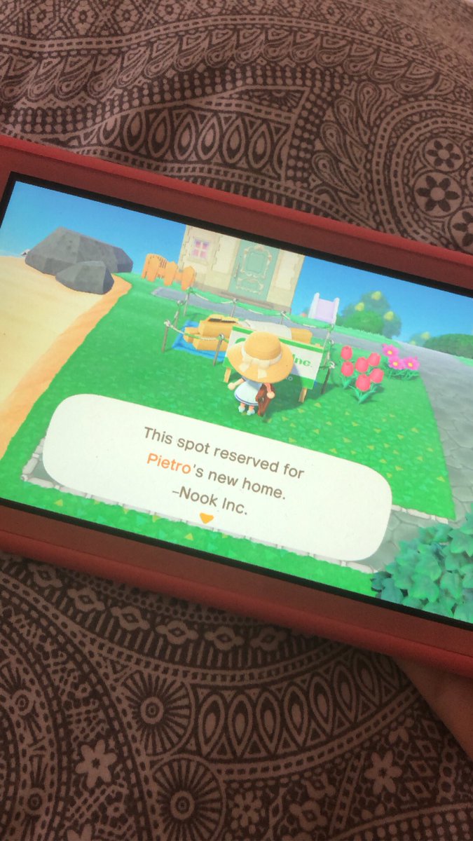 TheCamiiii's tweet photo. Two dream villagers in one day ❤️ https://t.co/UKGxZDv3WI