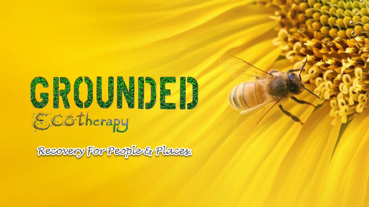 groundedeco's tweet photo. Now live! The new Grounded Ecotherapy website. Go to https://t.co/1BLLyhYa0l or visit https://t.co/2H5VM9gPj9 and click on the Grounded Banner on the Homepage.
#RecoveryForPeopleAndPlaces
#HousingSupportRecovery https://t.co/OcmrnamfkV