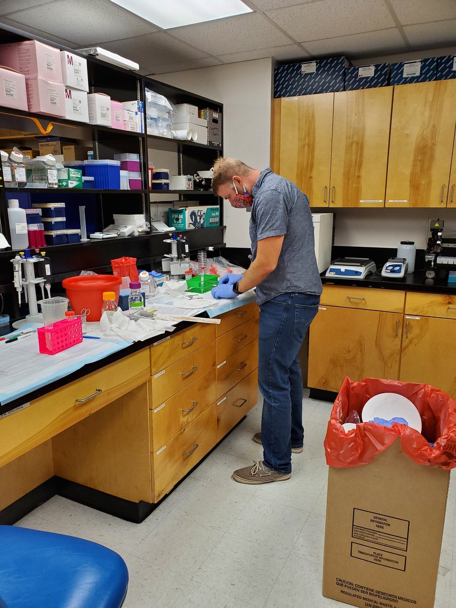 McLachlan Lab tweet media