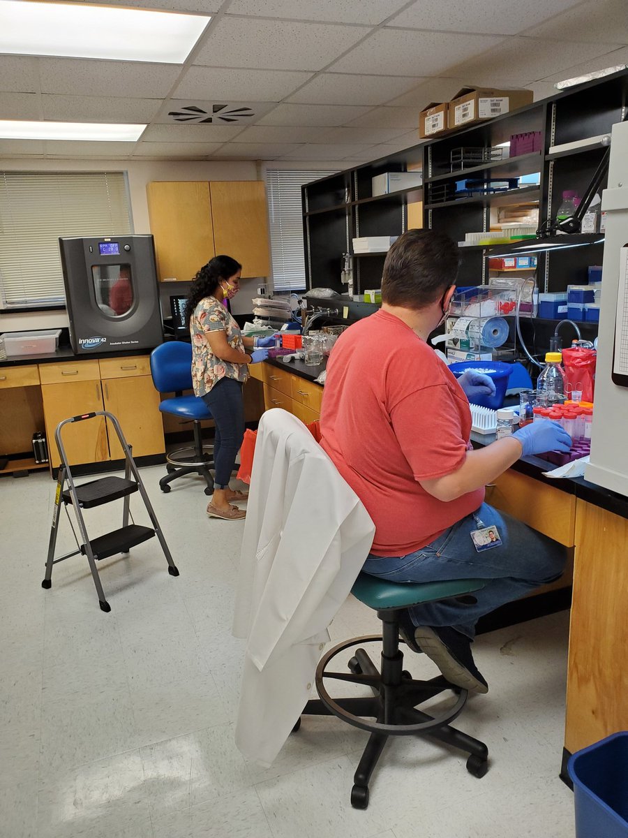 McLachlan Lab tweet media