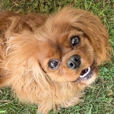 #NewProfilePic