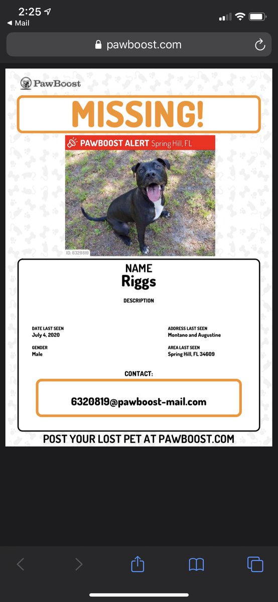 ksanchezxo's tweet photo. plz plz plz if you’re in spring hill find my baby boy. i’m moving to naples tomorrow and am heartbroken knowing he’s out there alone. my family is going to keep looking but i know law school can’t wait for me and it’s so hard to make this decision https://t.co/vkNjNE4r5E