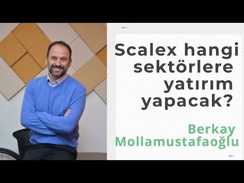 GZirvesi's tweet photo. ScaleX hangi sektörlere yatırımı önceliklendirecek? - Berkay Mollamustafaoğlu

https://t.co/z4FG226h66 https://t.co/uUhhgcPY4O