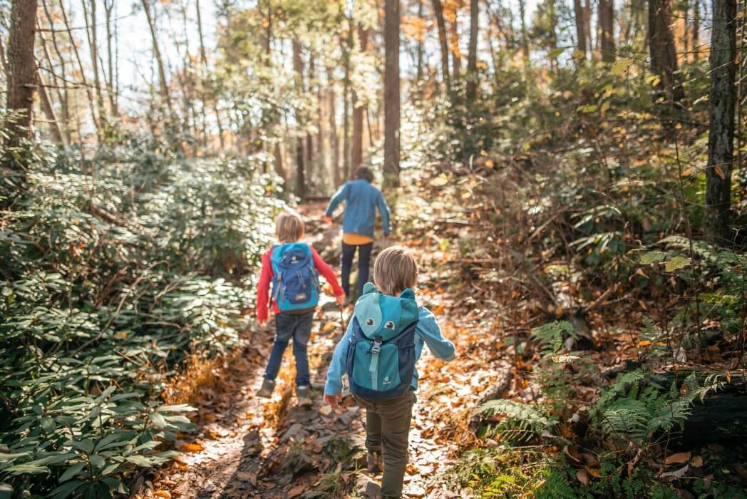LittleGuideDet's tweet photo. Get outside and celebrate National Father Daughter Take a Walk Day (yes, it's a real holiday) in Metro Detroit🍃
https://t.co/zVTmhvla58 https://t.co/4hBoLY61pl