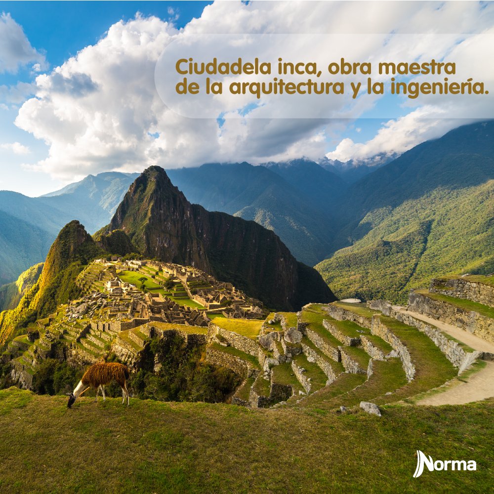 peru_norma's tweet photo. Día del Santuario Histórico de Machu Picchu.
Hoy la cultura peruana está de fiesta. En 2007, el Gobierno peruano decretó el 7 de julio como el Día del Santuario Histórico de Machu Picchu.
#MaravilladelMundo #MachuPicchu #PatrimonioCultural #EdicionesNormaPerú https://t.co/JzEQSLHM5r
