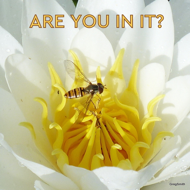 SRRotary's tweet image. ARE YOU IN IT?
Did you enter the South Ribble Garden Competition before yesterday's deadline? We have received more than the expected number of entries so thank you everybody who has entered. We’ll be in touch soon to arrange our judges' visits - COVID compliant of course.