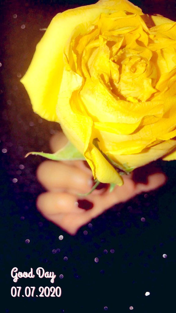 مسااااء الورد 💛🤍