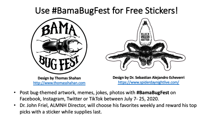 UAMNH's tweet photo. We're giving away free stickers during Bama Bug Fest: On the Web! 🕸️ To get one, post bug-themed artwork, memes, jokes, or photos with the hashtag: #BamaBugFest

Top Picks 🏆 will be chosen and stickers will be given out while supplies last.

#UAMuseums #Museum #Museums #RollTide https://t.co/cWAd5P6HUS
