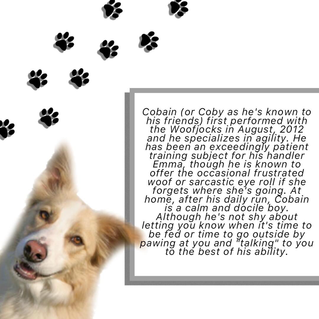Time for a #JockSpot
Meet COBAIN!
#woofjocks