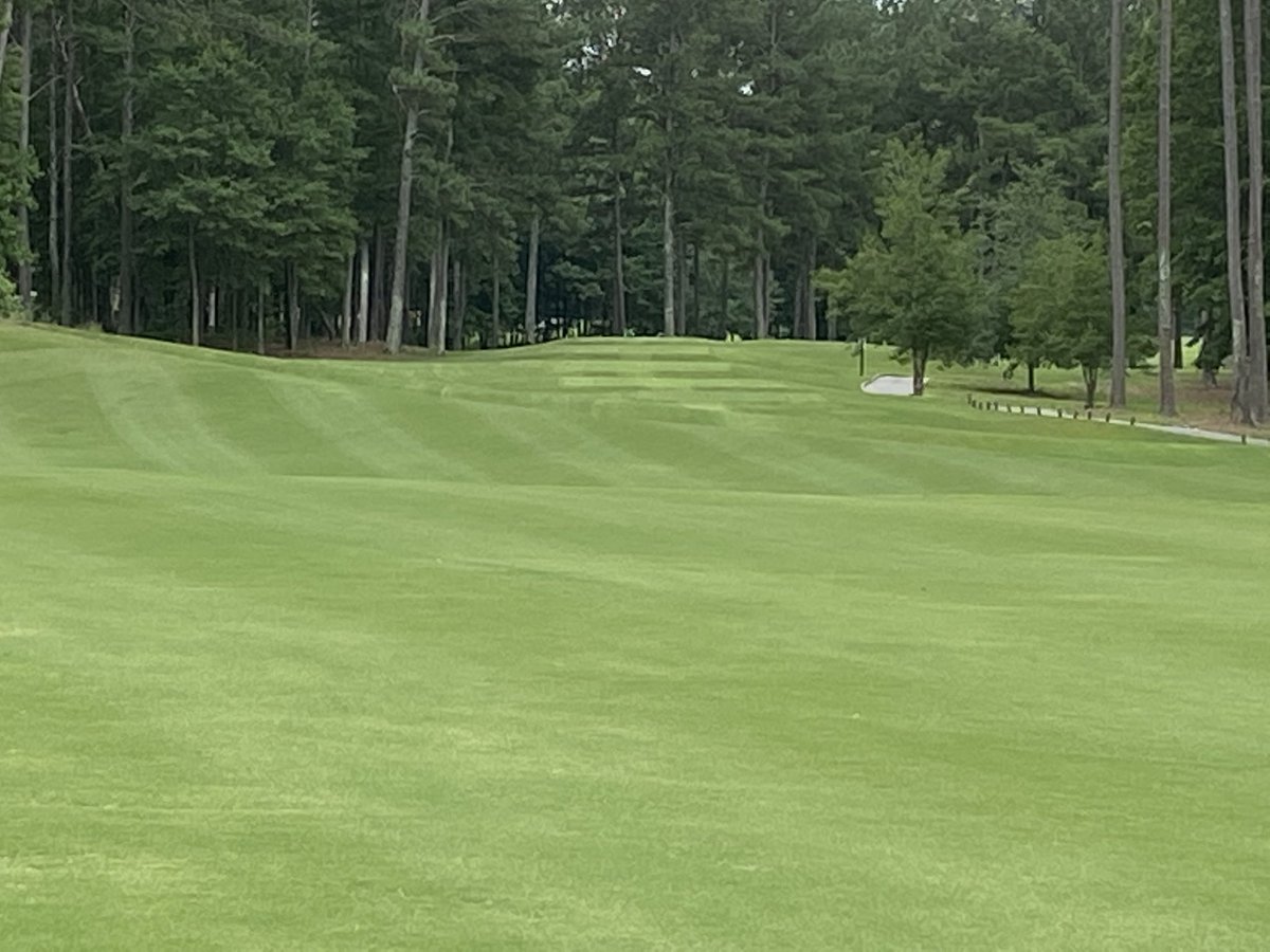 Matt Findley (@findleymatt) on Twitter photo 