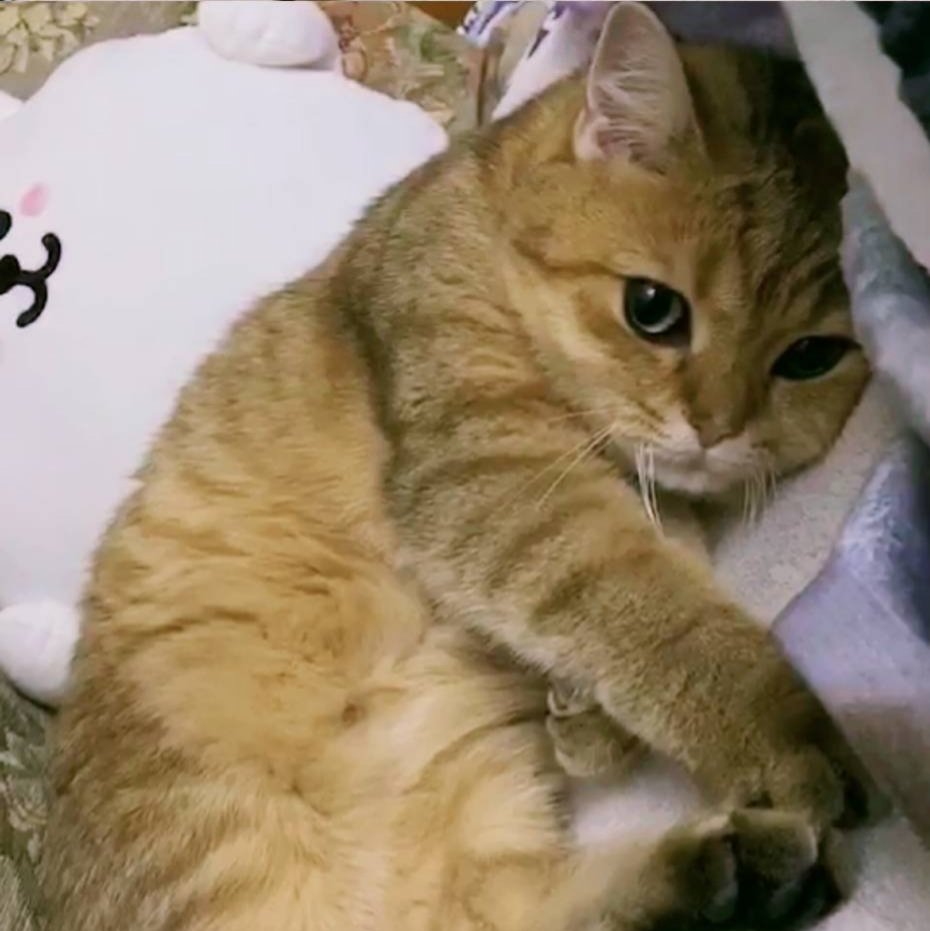 daily danta (@daily_danta) on Twitter photo 