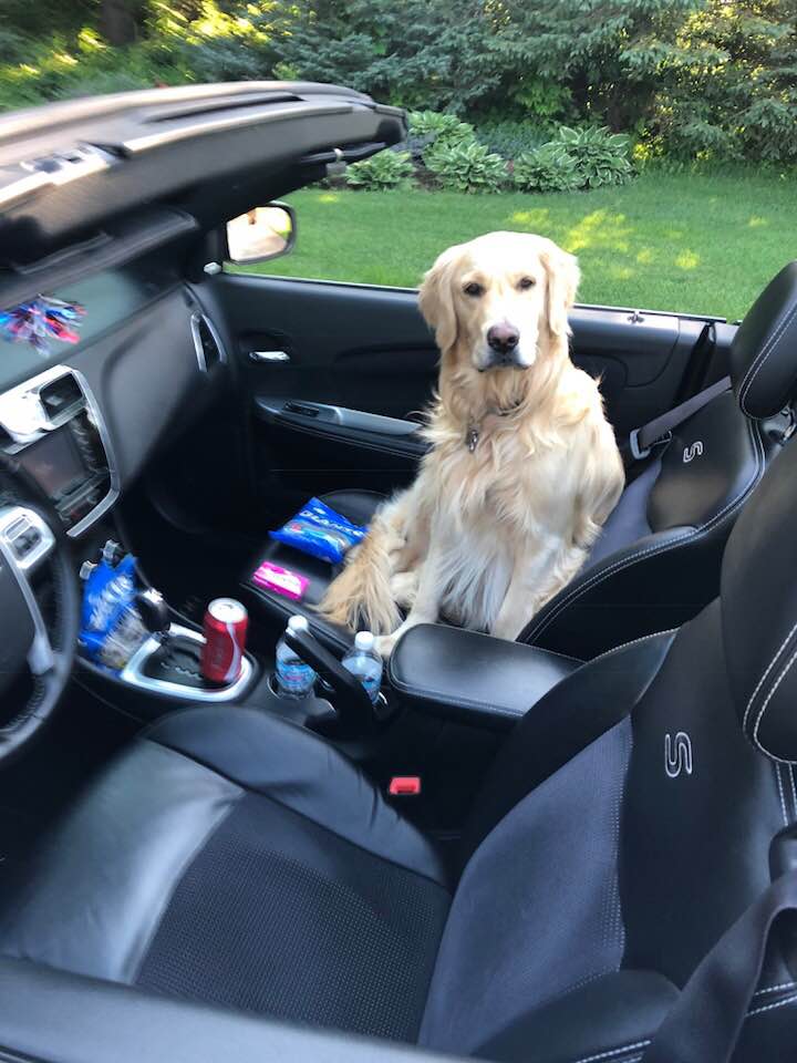 chad_mcshane's tweet photo. Look who's riding shotgun! https://t.co/WoFOpM8k3D