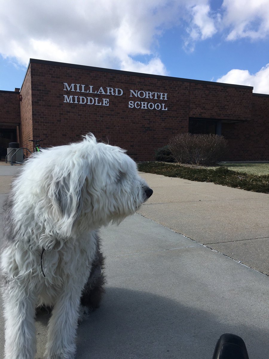 Stu_Depue's tweet photo. Stuart, my best friend and most constant companion, peacefully passed today. He is no longer in pain and will always be watching out for my family and I. Words cannot express how happy I am to have shared him with some of you. He was just the best. https://t.co/XHhSNxtmhn