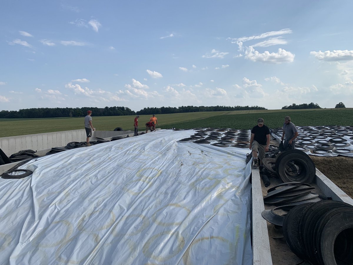 Lots of good help covering second cut. #baselineagri