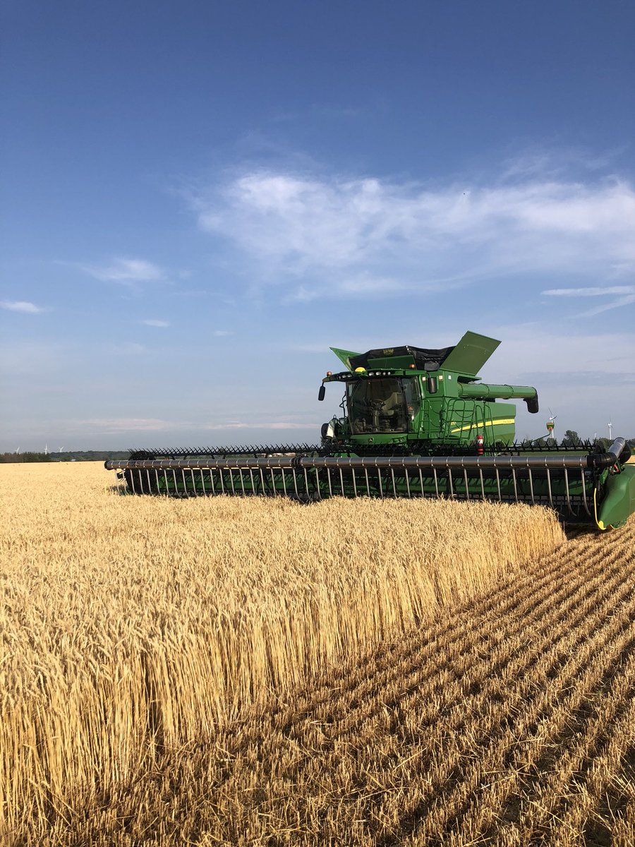 Trevshep3's tweet photo. She’s go time in Haldimand #wheat2020 #johndeere https://t.co/wocUDscgIv