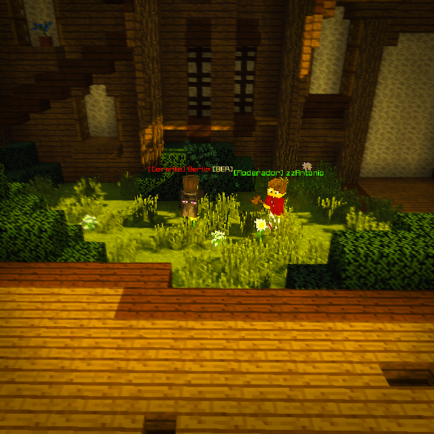 Rede Community tweet media