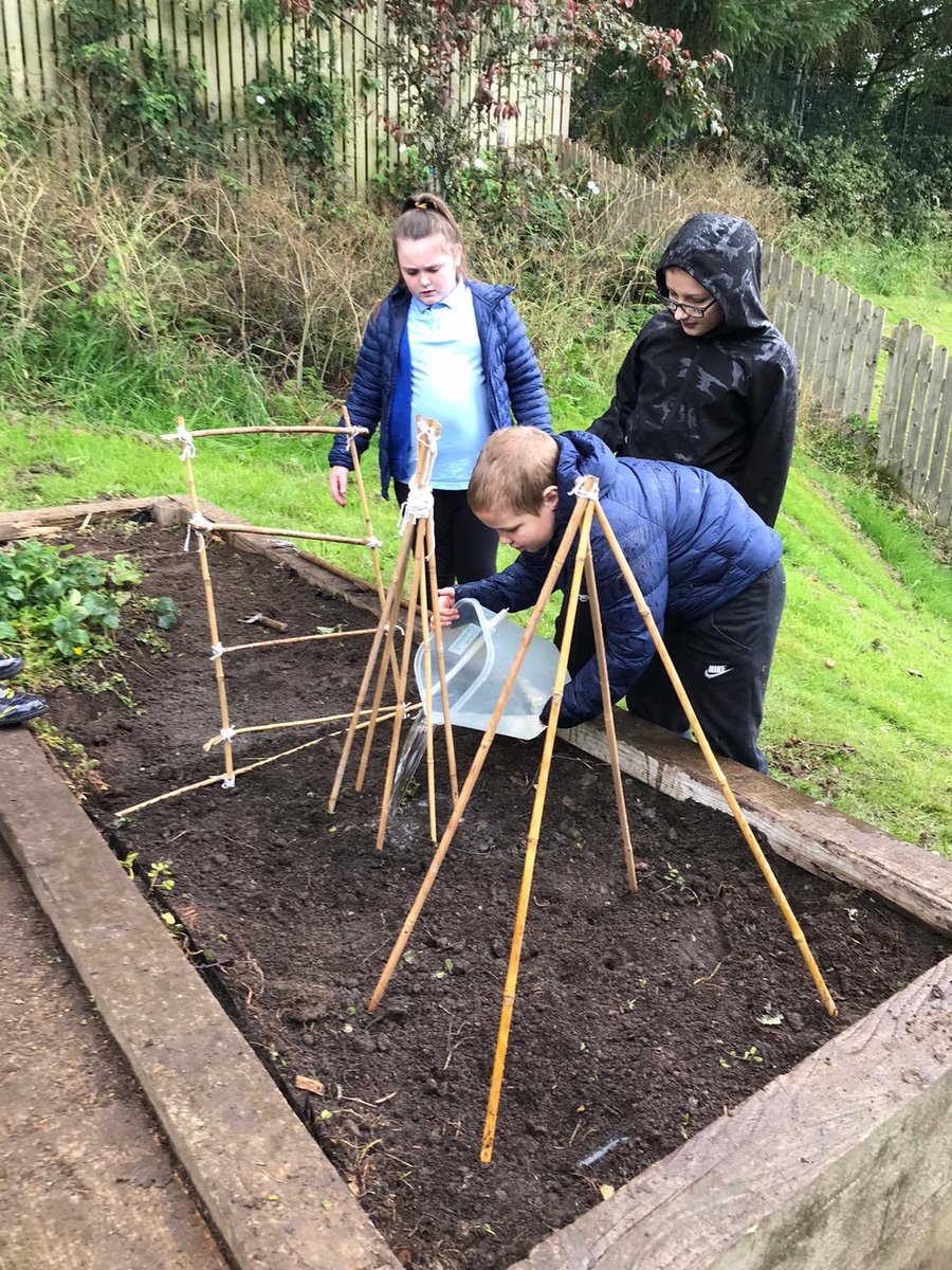 OLStBrendan's tweet photo. Year 5 loving their Forest Adventures with Mrs Evans and Miss Higgins. https://t.co/1E4yLcCcsD