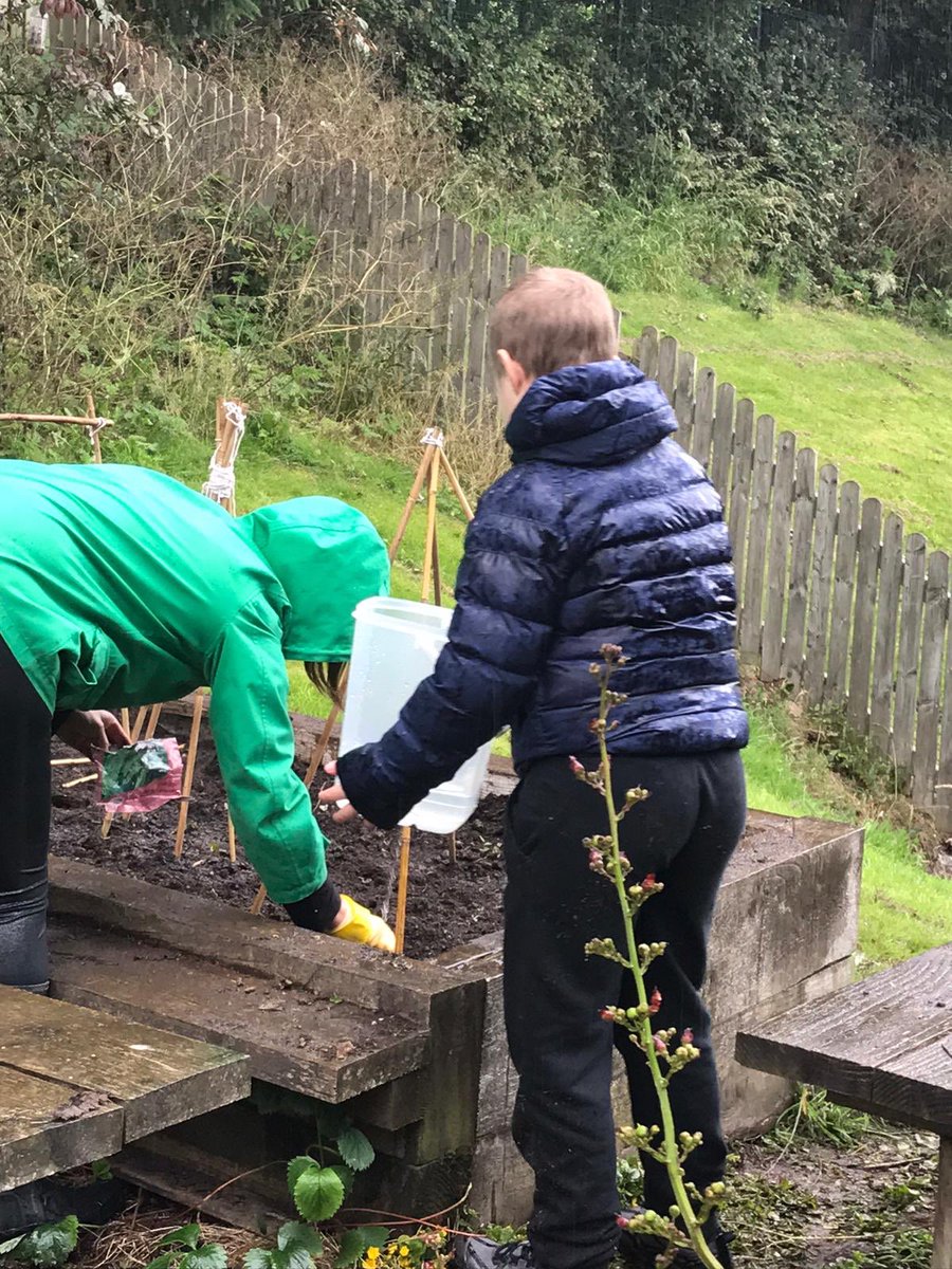 OLStBrendan's tweet photo. Year 5 loving their Forest Adventures with Mrs Evans and Miss Higgins. https://t.co/1E4yLcCcsD