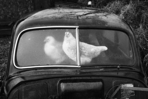 savemalechicks's tweet photo. Martin Parr https://t.co/AeDF1tDY6S