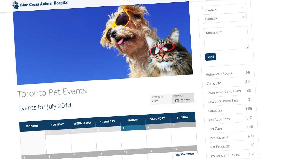BCAHToronto's tweet photo. Check out our #petevents calendar for all things #pets! https://t.co/VJtWkvuYv0 #torontopetevents #torontovet #dogevents #catevents https://t.co/s6ayx91tmt