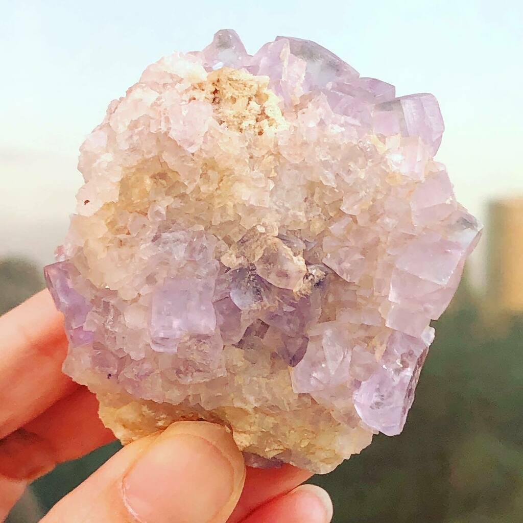 MllnYrs's tweet photo. 🌅 sunset with this a bit dreamy color fluorite. 

#crystals #crystalcollections #fluorite #fluoritecrystal #crystallovers #crystalove #purplecrystal #goodvibes #ukcrystals #quartz #healingcrystals #healingcrystals #minerals #mineralspecimens #geologist https://t.co/k6EqUdCuB0 https://t.co/hhNAvYlJ6w