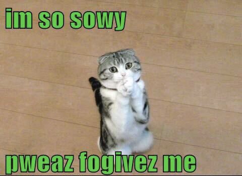 Tom Fall tweet media