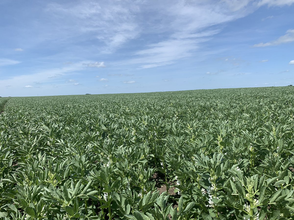 Brock Shearer tweet media