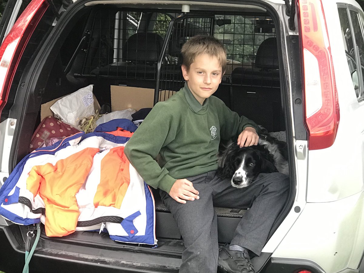 DogDart's tweet photo. Happy Birthday Finn love from Dart-T-Dog xx https://t.co/G2nUE2BsyE