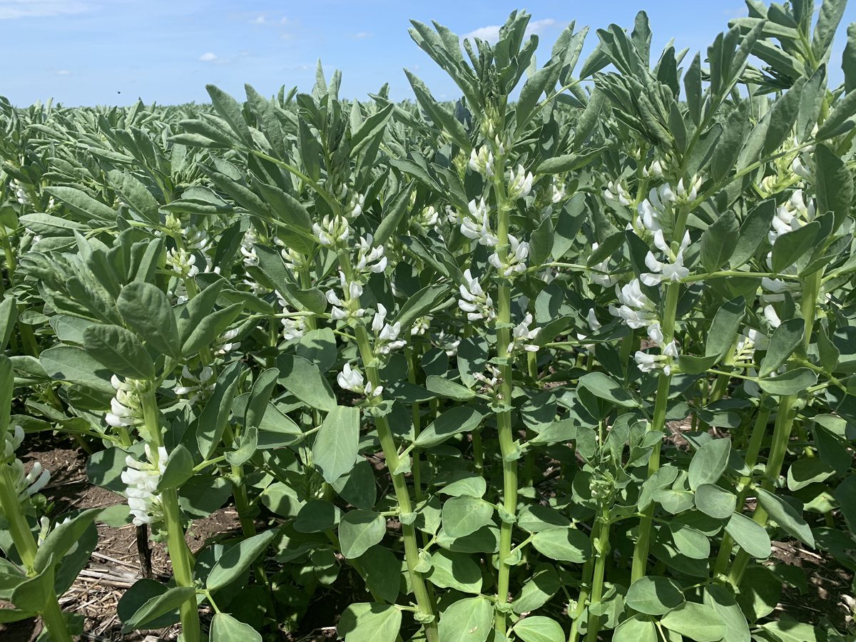 Brock Shearer tweet media