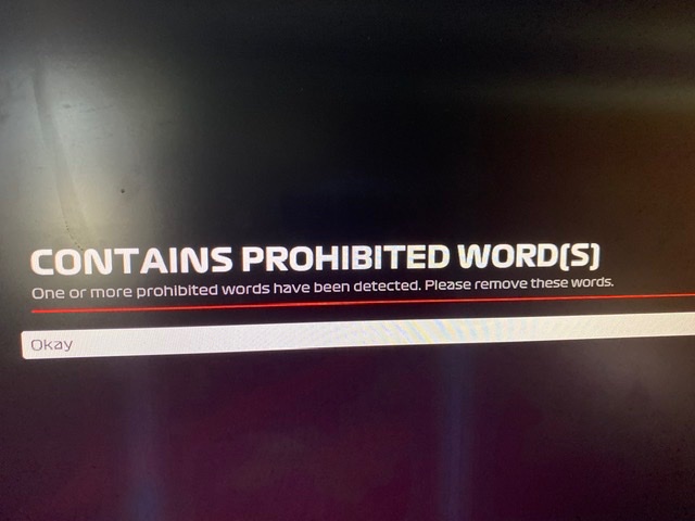 RadQuinn's tweet photo. @Codemasters @RichardHorvitz  Muscular Beaver F1 is a prohibited name? Really guys? No VR, no beavers. Solid game. https://t.co/4m6k2wcBOb