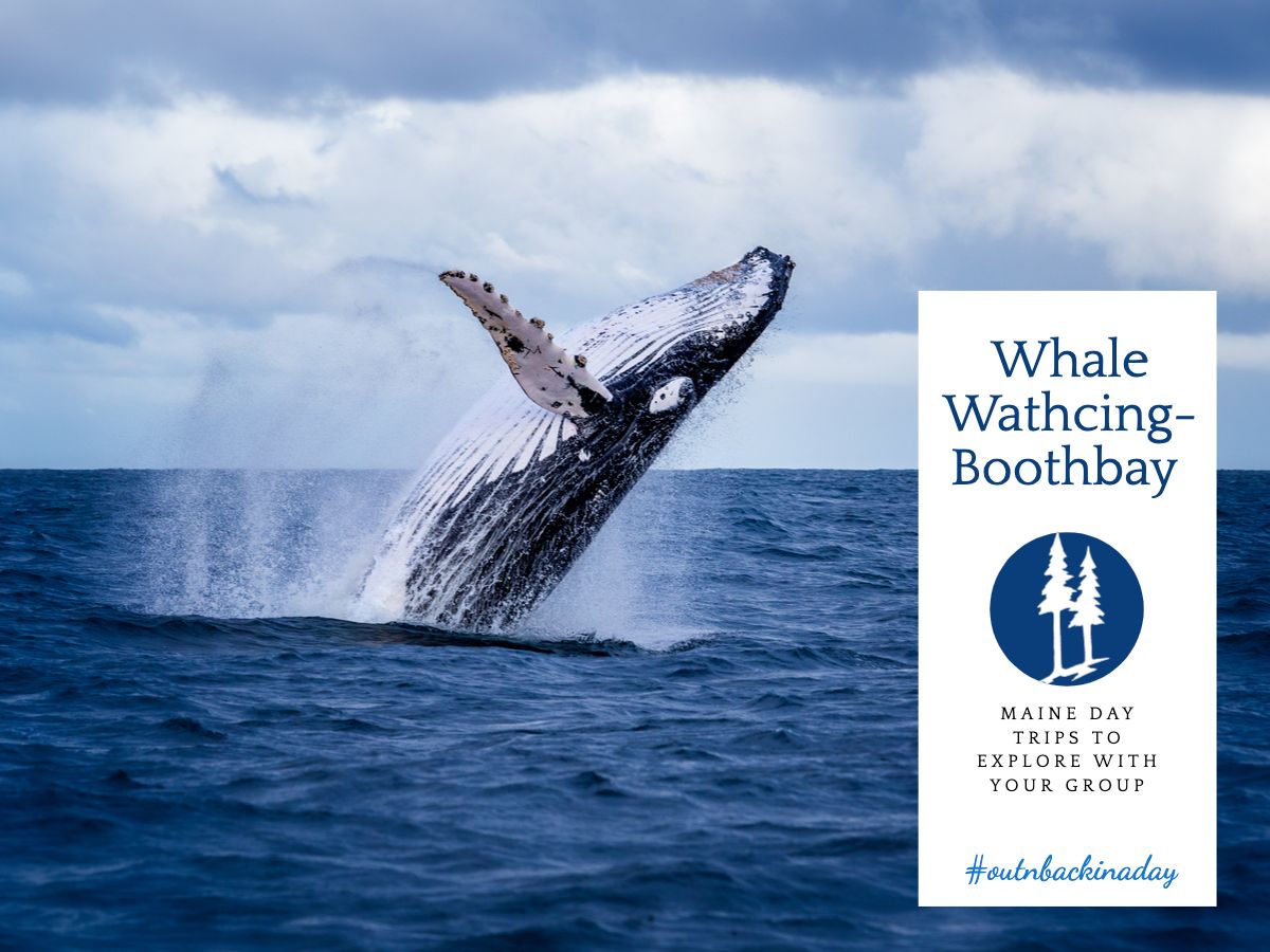 NECharter's tweet photo. Is your group experiencing COVID fatigue? Maine has many things that can be done under current health restrictions. A number of our tourism partners are open and we are excited to share some of our client's favorites stops with you. #GoNECT #Outnbackinaday #LetsGoTogether #GoIMG https://t.co/Yh7sIe0P3X