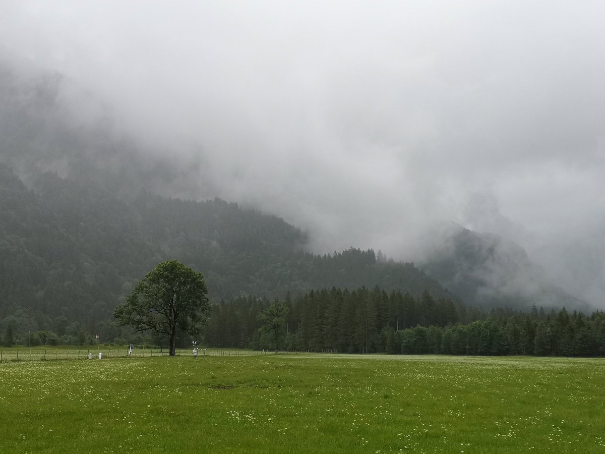 BBerauer's tweet image. Peak season harvest along our elevational gradient in the Alps of the #SUSALPS project @BonaRes4u. One day of mediocre weather but no rain and one of nice weather and always excellent collegeaus helping @DisturbanceEco1 to get this beautiful site's collected