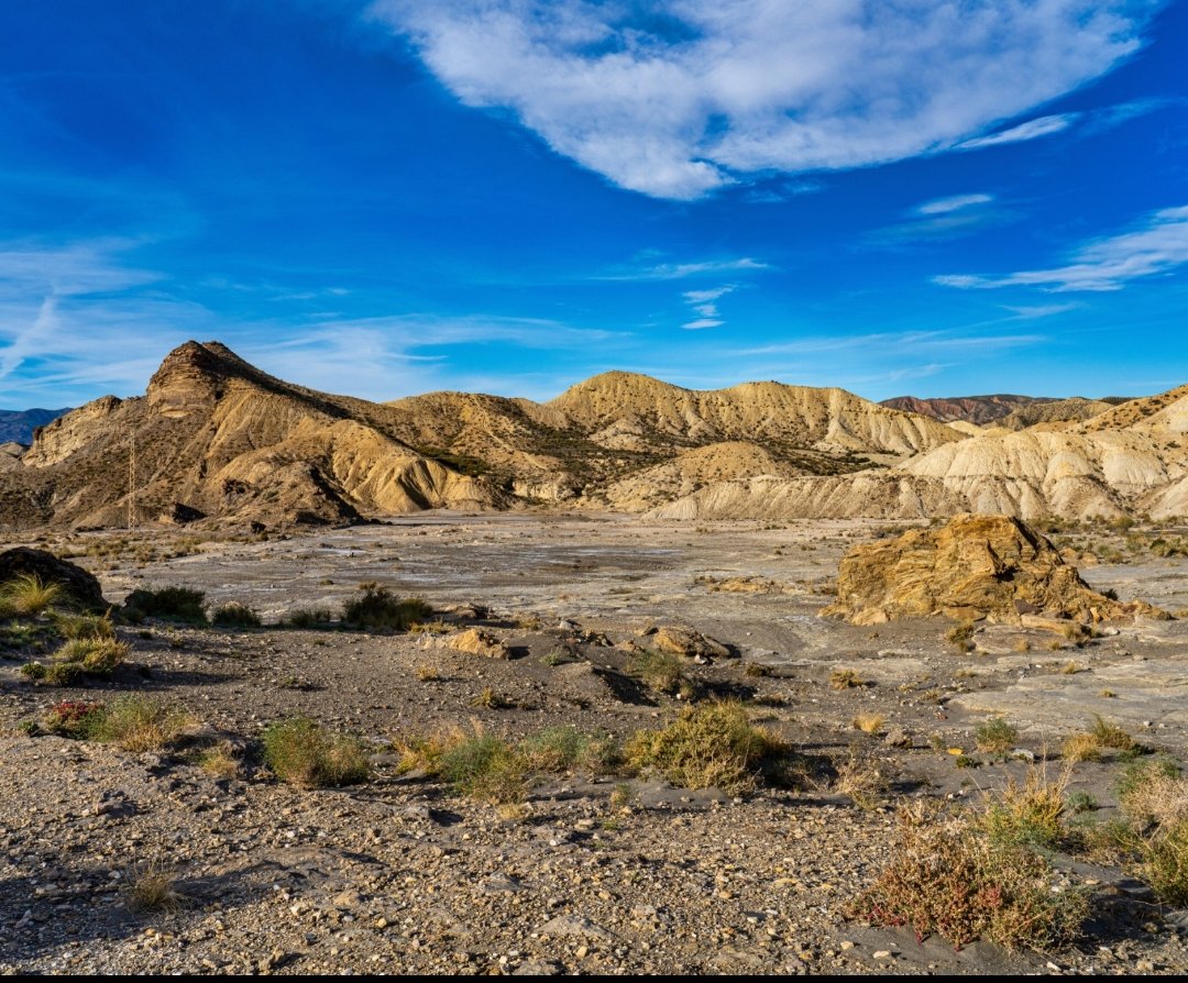 🗺️ Un estudio realizado por investigadores de la UAL pone de manifiesto la gran diversidad microbiológica de los suelos áridos del Desierto de Tabernas 🏜️🔝