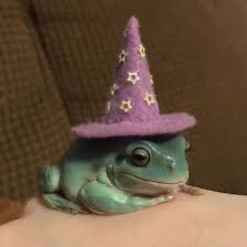 birthday froggos !
