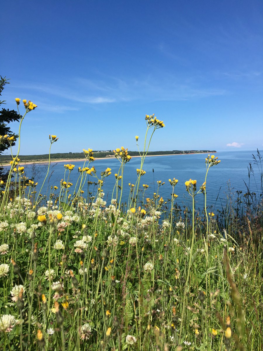 More than half way through a 14 day isolation can we make it 21??