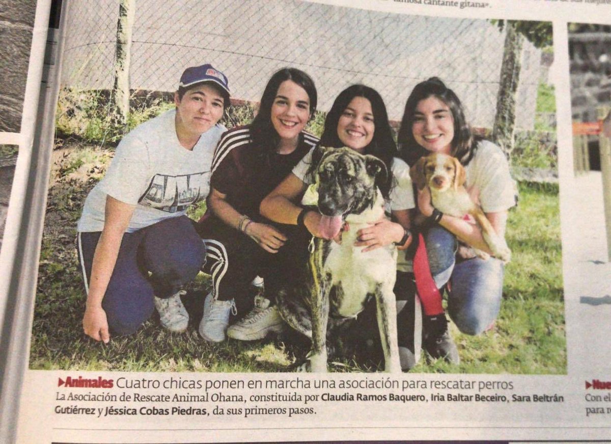 ranimal_ohana's tweet photo. Este lunes el @Diario_Pontev mostraba nuestros inicios. Muchas gracias de parte de la familia Ohana!❤️🐶 https://t.co/NDAL3OVU1o