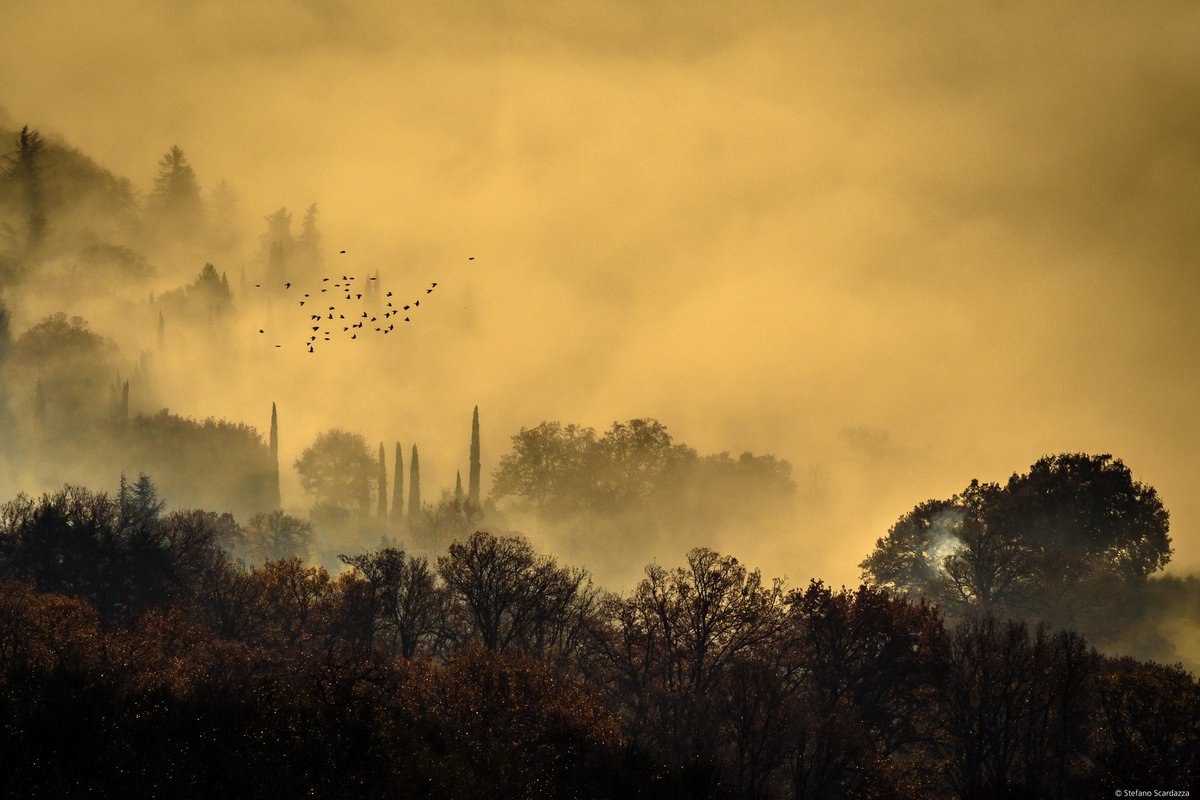 andzwe's tweet photo. Stefano Scardazza (flickr) - Giornate Nebbiose / Misty Days #stefanoscardazza #photography #MistyDays #GiornateNebbiose #Italy #landscape #flickr https://t.co/3bTUk9upuB
