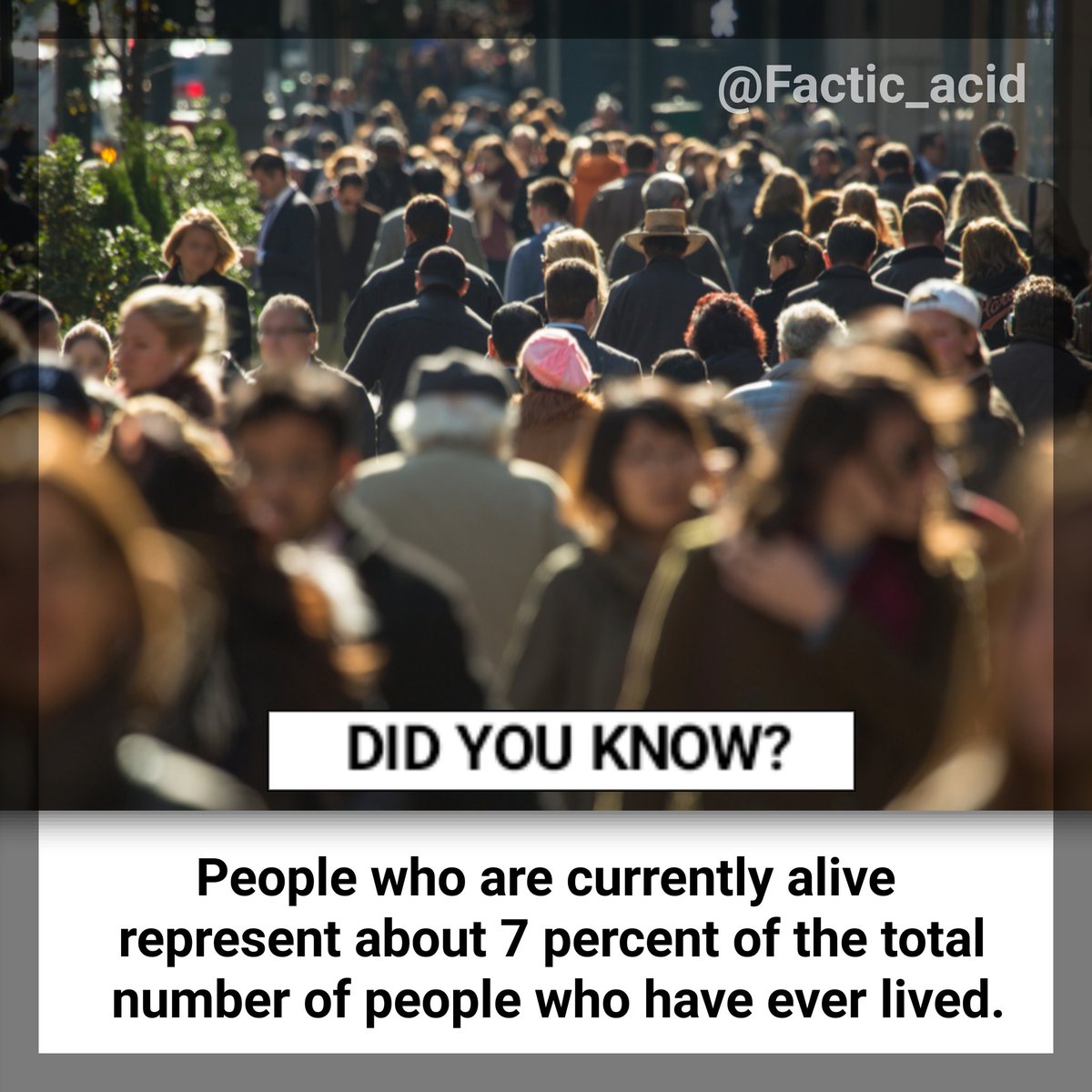 FACTIC_ACID's tweet photo. OMG Facts⬇️

#Pulisic #CRYCHE #zaha #kepa #forcacorona  #Fact #FactCheck #DrKafeelwantsJustice #KurtaTwitter #HappyBirthdayDhoni #HappyBirthdayDada #JhumkaTwitter #Trump2020NowMoreThanEver #trump #Modi https://t.co/hhdaKYQggx