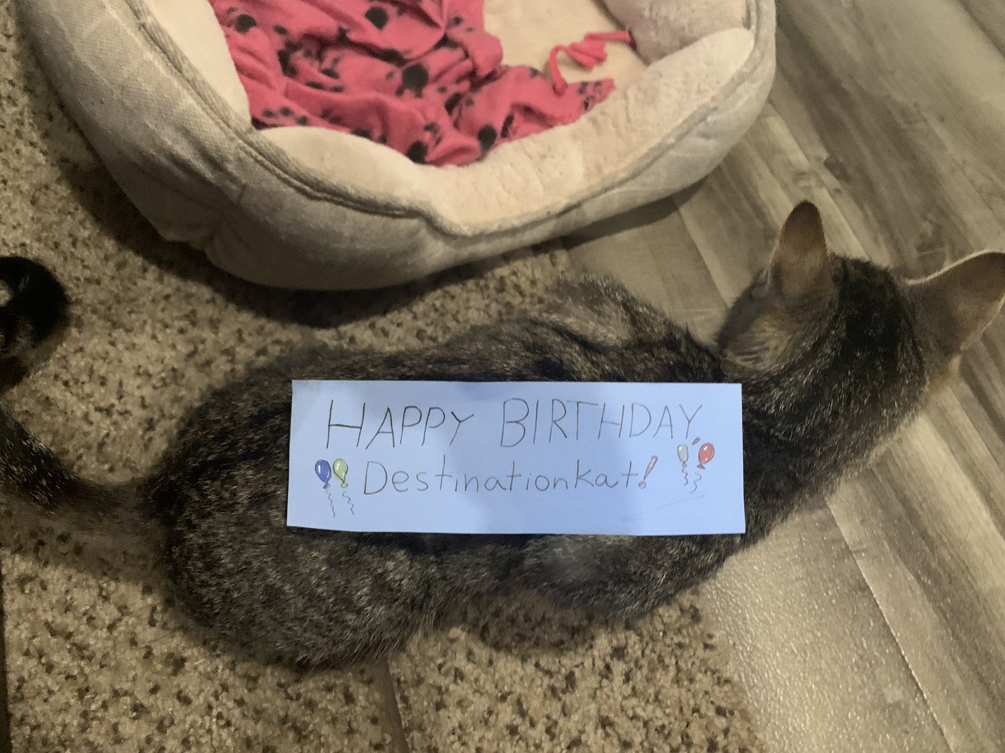 TW Pornstars - 2 pic. Busty Witch 💜 Free OnlyFans. Twitter. 🎉 Happy