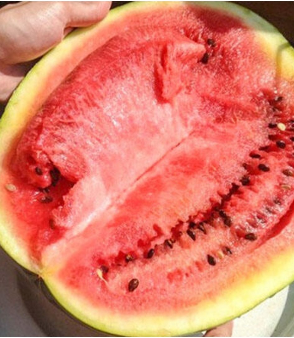 Yeter artık Milletin ve cifcinin sırtından inin artık HALCILER
Fiyatı yüksek olsun diye karpuzu bekletip piyasaya surmeyin artık 
Dişi güzel içi pert 
<a href="/TCTarim/">T.C. Tarım ve Orman Bakanlığı</a>