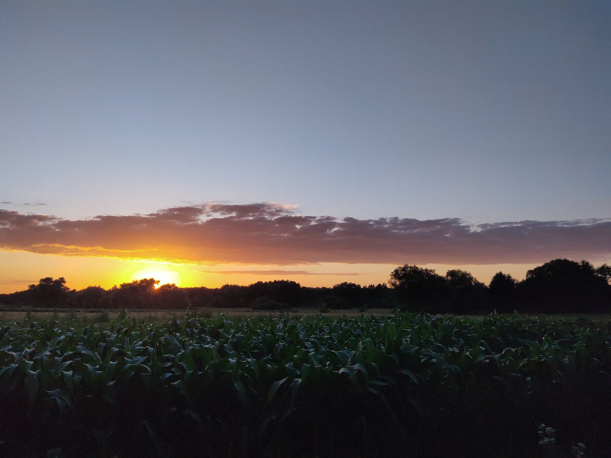StyczenAndrzej's tweet photo. Ładny zachód słońca, chmur już niewiele :)
#świętokrzyskie #Bejsce
@MeteoprognozaPL
@IMGWmeteo
@PogodaLomzaPL
#nofilter https://t.co/NXj6raEMpi