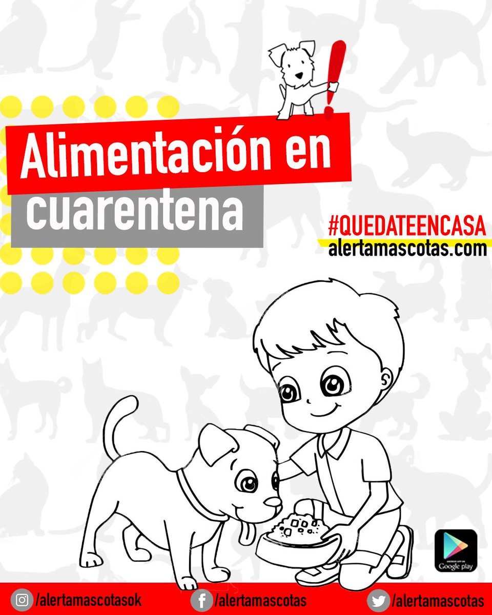 alertamascotas's tweet photo. Estar todo el día en casa puede alterar, sin darnos cuenta, la alimentación de nuestras mascotas. 
Por eso es importante que respetemos su rutina previa al aislamiento, evitando alimentarlos con mayor frecuencia y darles sobras de alimentos o premios en exceso❗️
#QuedateEnCasa https://t.co/WYMG6NIdbB