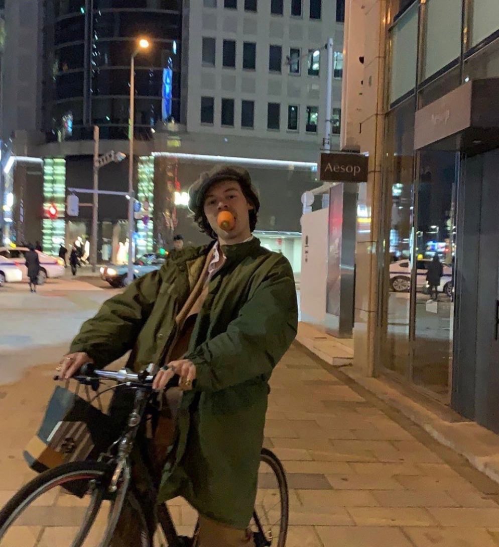 hstylespics's tweet image. his little cap🥺