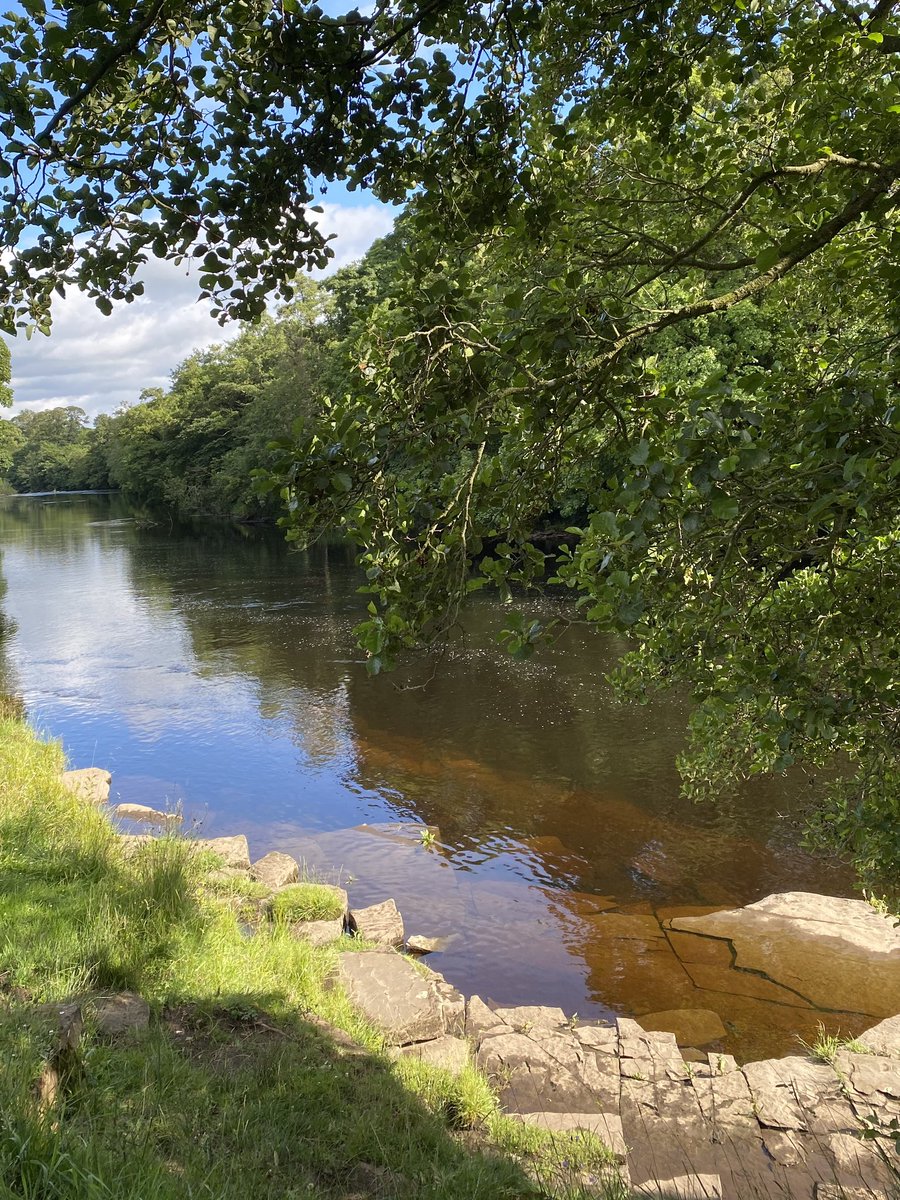 This evening along the Tees. #rIvertees #teesdale #teesriver #barnardcastle #NorthEastMatters