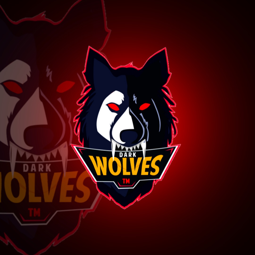 DarkWolves™ tweet media