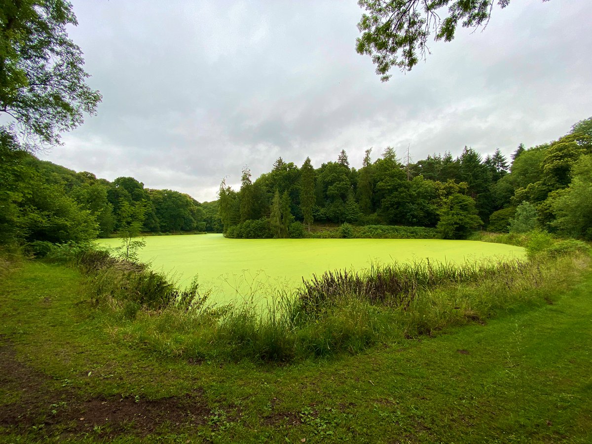 official_ScottH's tweet photo. Two hour walk in #shrawley tonight π€πππ» https://t.co/evI5L1ngdl