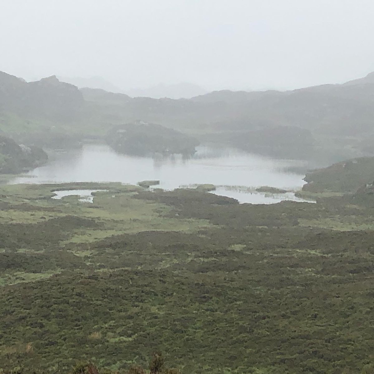Great to be back on the fells today, absence definitely makes the heart grow founder!Weather and bogs were hardly an issue! High Raise and Ullscarf thanks to <a href="/fellranger1/">Mark Richards</a> for his excellent guide of route from Stonethwaite