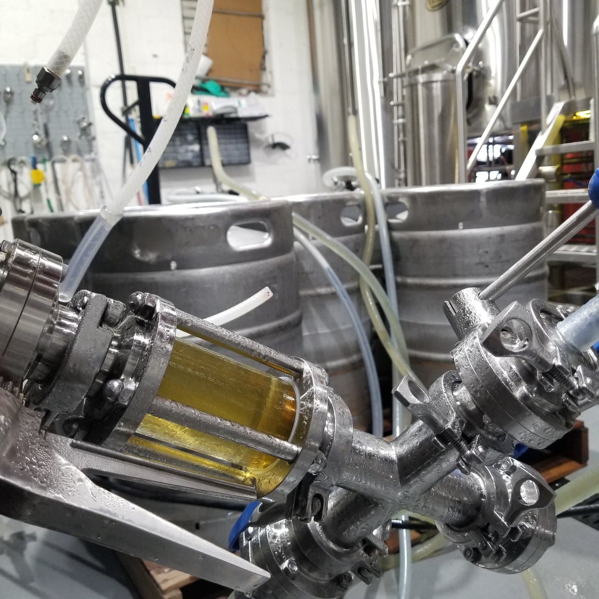 Deliciousness being kegged