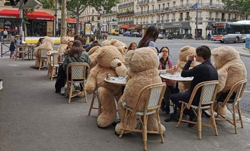 manifestinvest's tweet image. Paris enters full-on bear market.  #StockMarketHumor