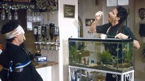 Gvnn80's tweet image. Il consiglio di oggi: A Fish Called Wanda (Un pesce di nome Wanda-1988)
- Apes don't read philosophy!
- Yes they do, they just don't understand it!
@TATJANASL @EvaArriagaD @skipbolden @colebrax @CHANNINGPOSTERS @ElisabettaIori3 @takaperfect @farfel54 
#cinemagvnn #Crichton